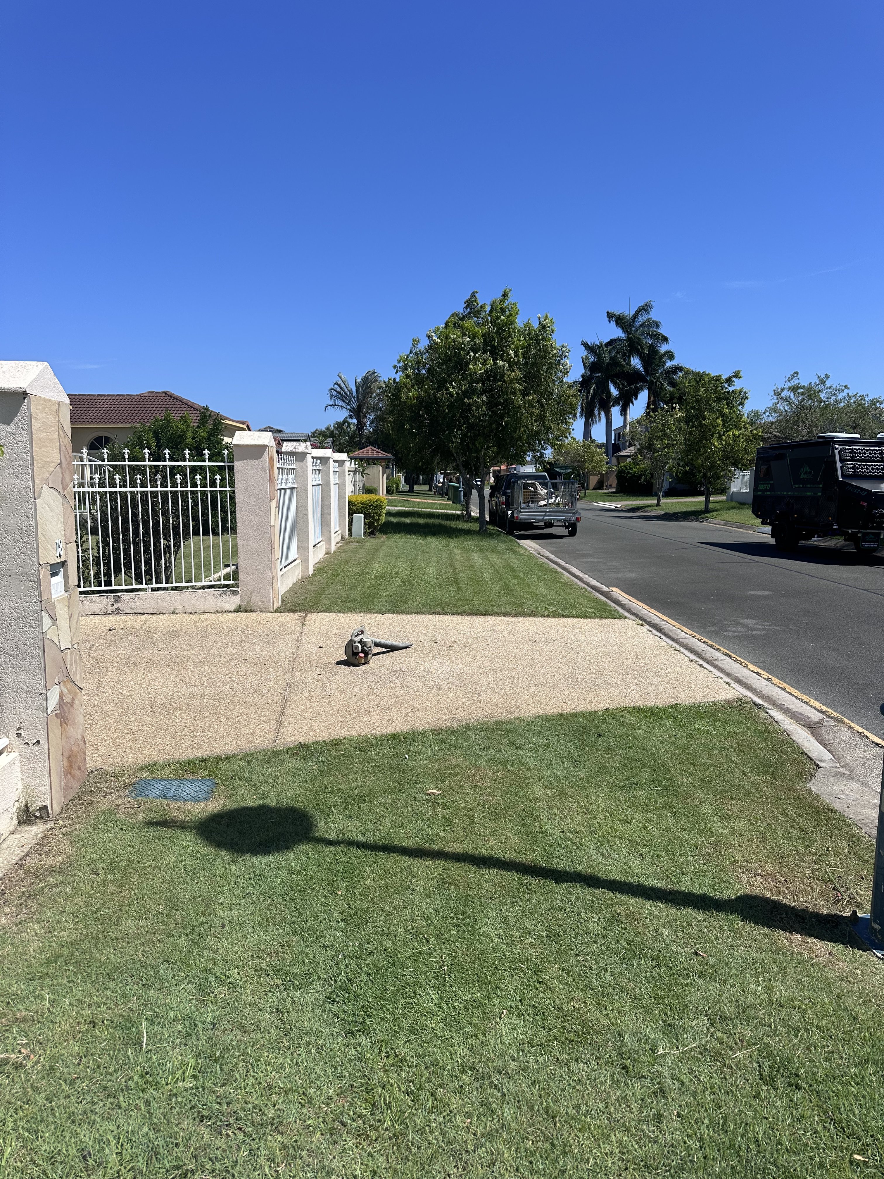 Fertilising & Lawn Health