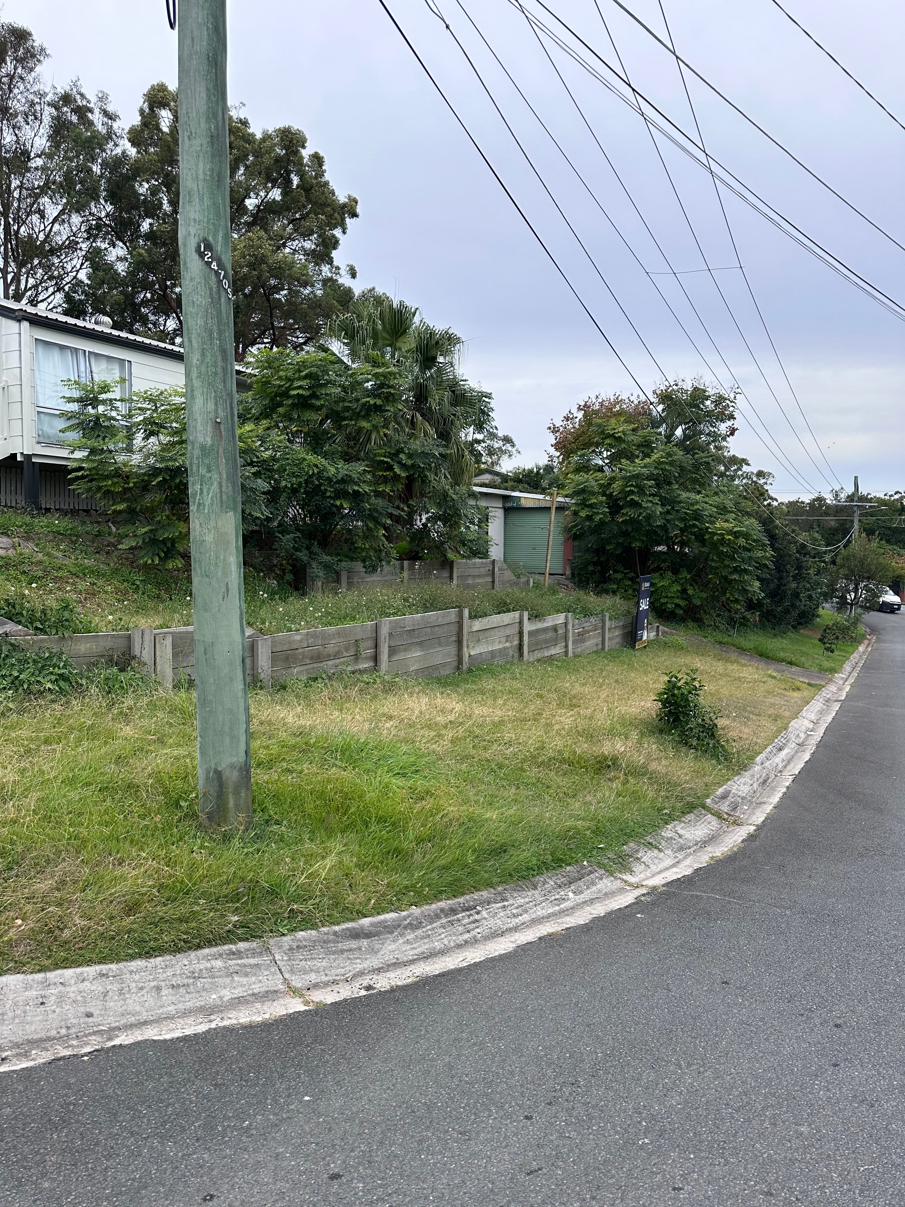 Overgrown lawn before mowing and cleanup