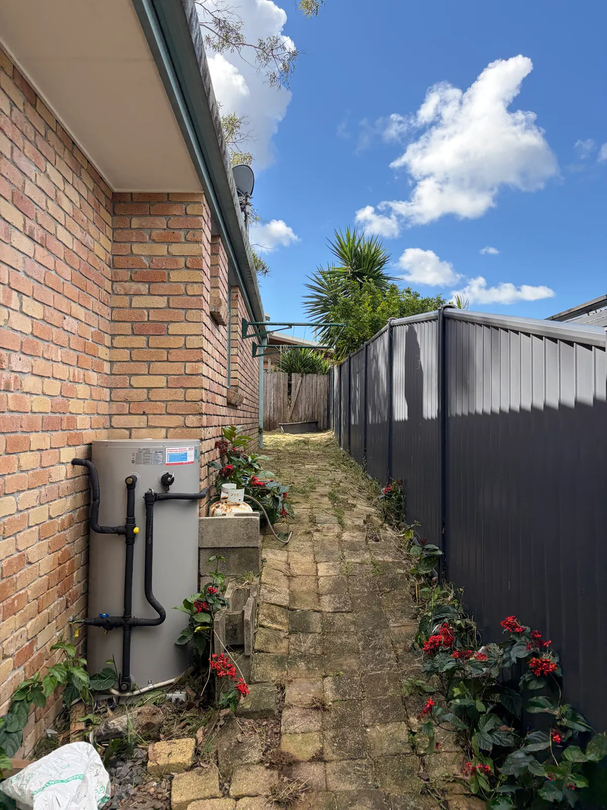 Cleared side yard after mowing and whipper snipping