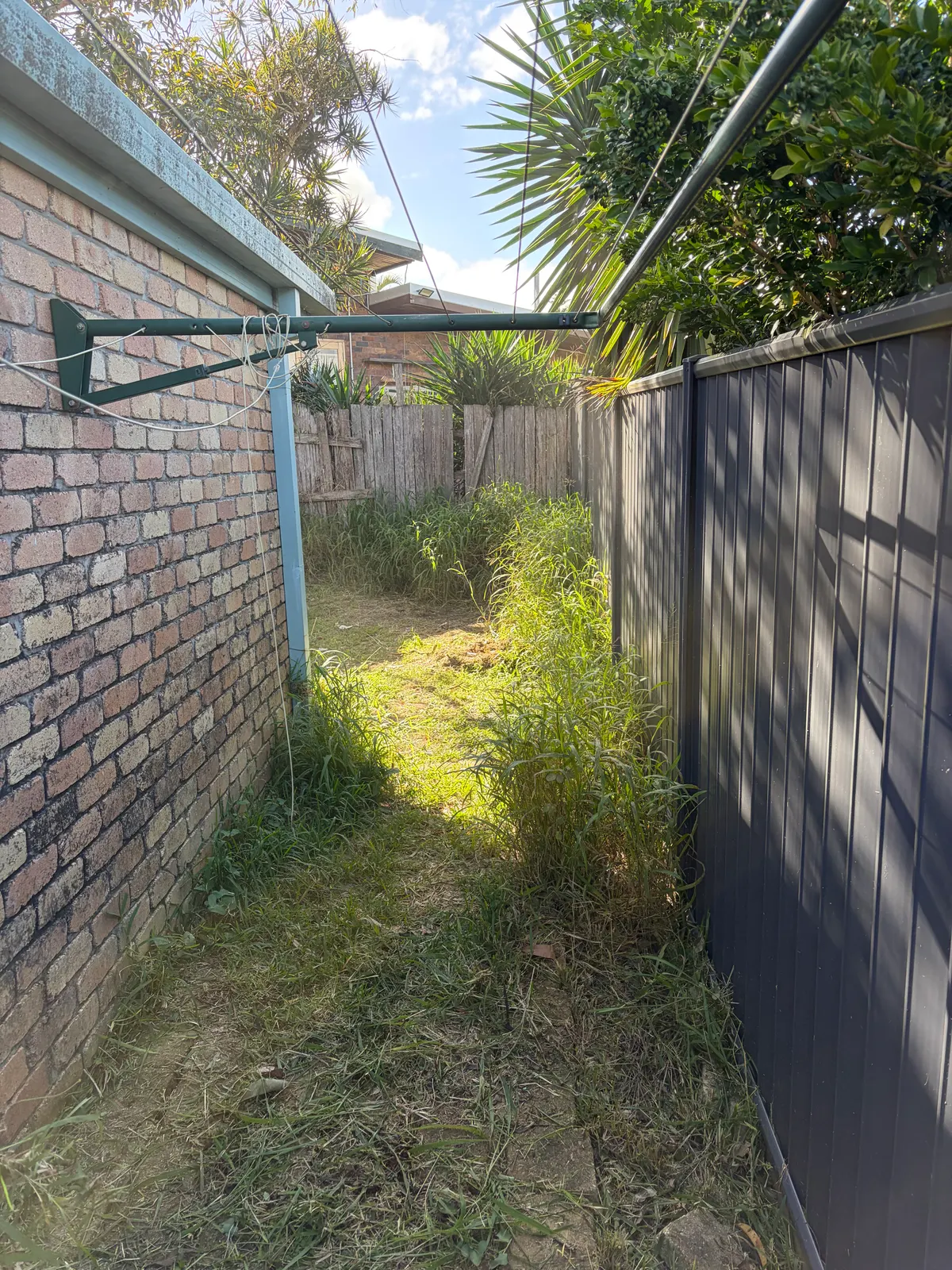 Overgrown side yard before mowing and cleanup