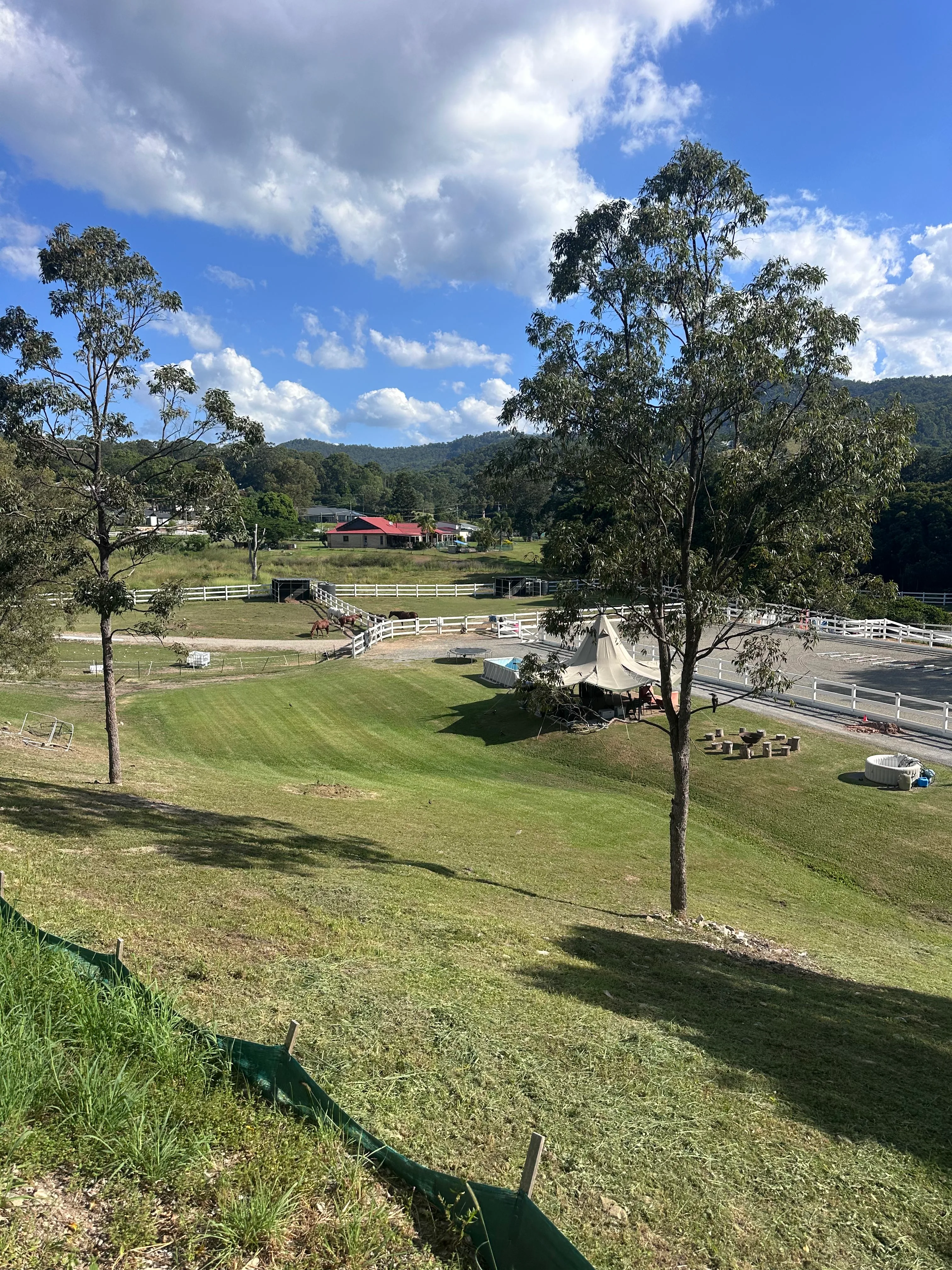 Professional lawn mowing on the Gold Coast