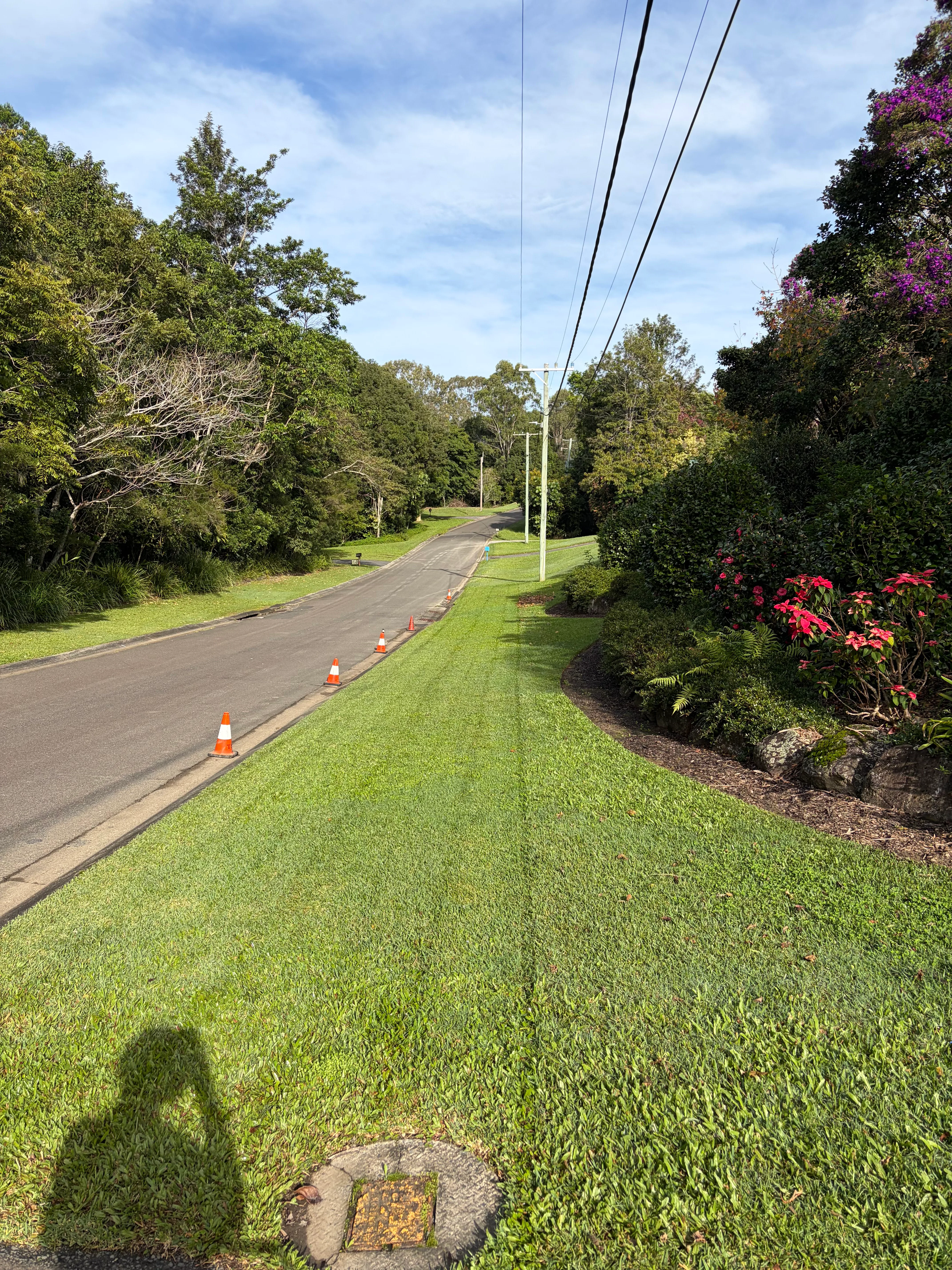 Lawn mow