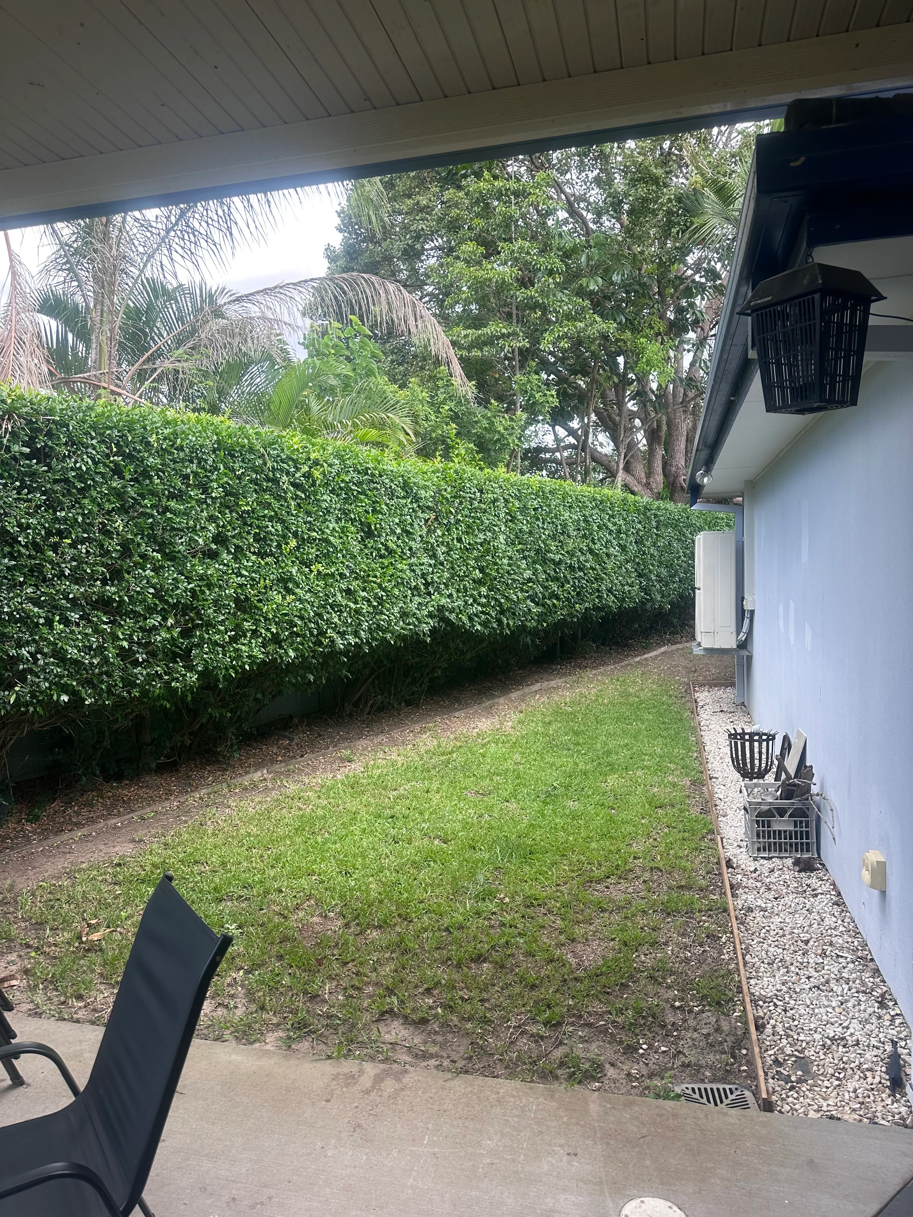 Hedge & Shrub Trimming