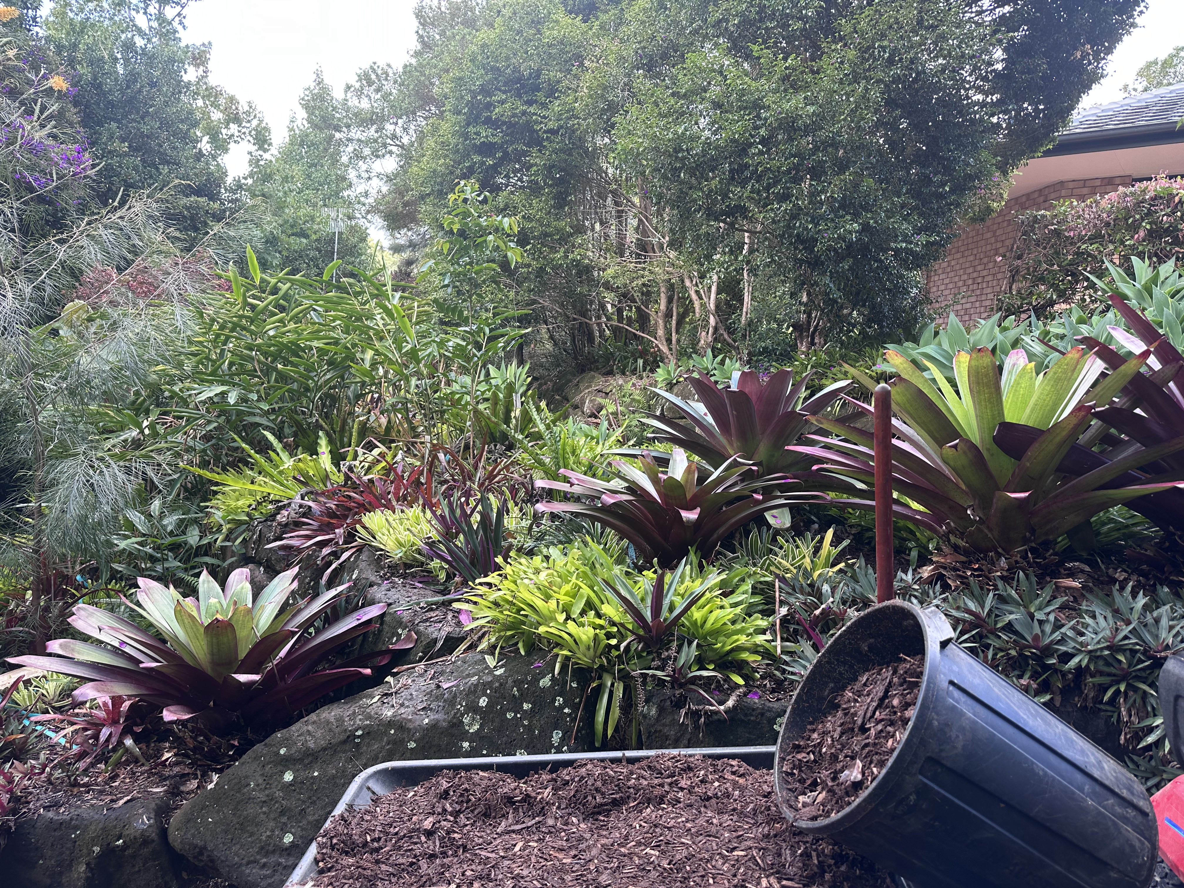 Garden Cleanups