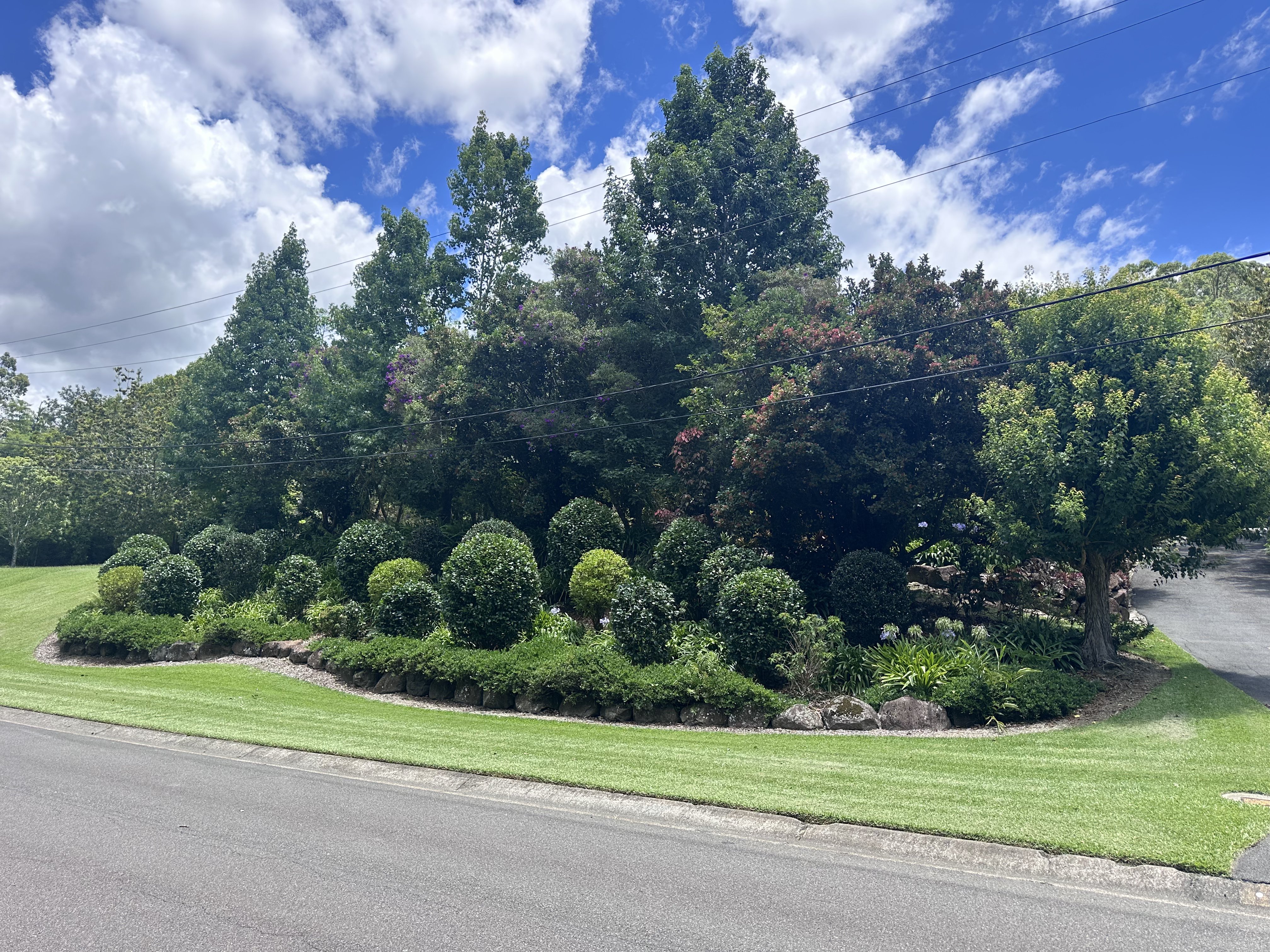 Neatly maintained shrubs and lawn on the Gold Coast